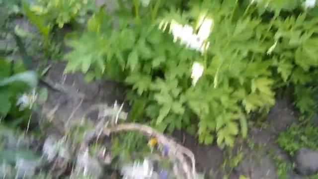 Весенние зарисовки....