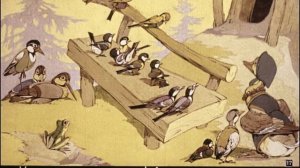 Сорока   белобока