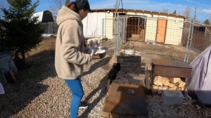 Как вырастить БОЛЬШОГО АЛАБАЯ. О чем не расскажут в питомнике