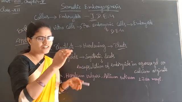 Somatic Embryogenesis (part-15). смотреть онлайн