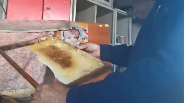 ГДЕ ЛЕТАЮТ БРОДЯЧИЕ РОИ. Готовьте ловушки Часть 2