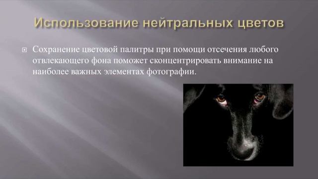 Цвет в фотографии смотреть онлайн