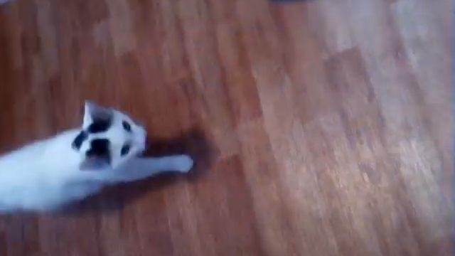 А мясо сьел быстрее чем включил камеру.