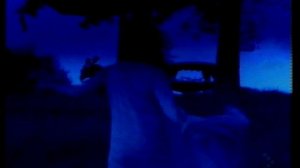 Mike Oldfield And Maggie Reill - Moonlight Shadow