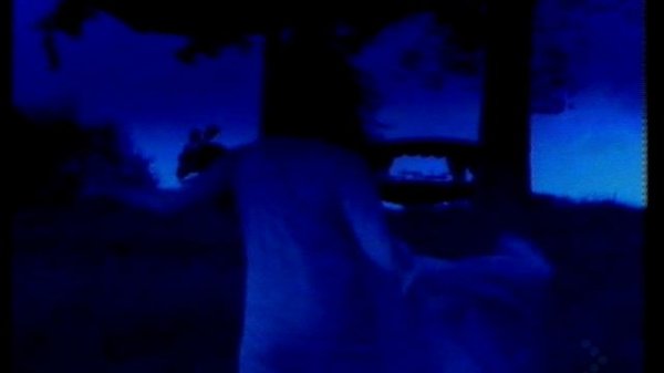 Mike Oldfield And Maggie Reill - Moonlight Shadow