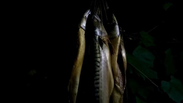 Как закоптить сало, рыбу, мясо, курицу, домашнюю колбасу самому в домашних условиях. Дымогенератор смотреть онлайн
