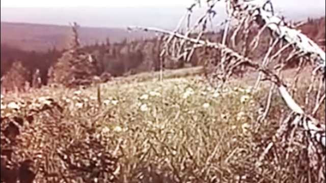 На склонах древнего вулкана Горы Урала. 1989г Док. фильм СССР смотреть онлайн