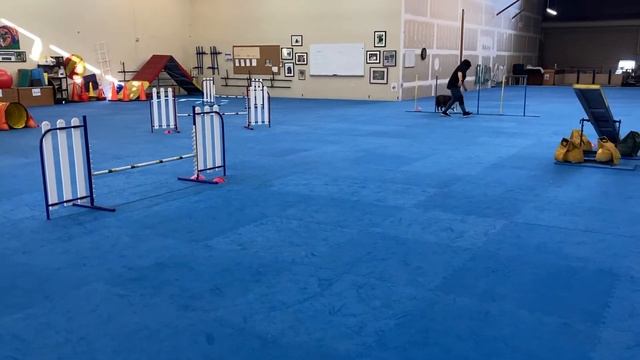lucy fall standard st/p1 course 2 смотреть онлайн