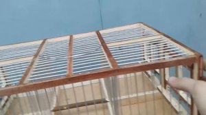 Томский западок для ловли птиц от Темки Птицелова.