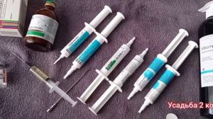 Мастит у козы (как мы лечили  своих. животных)