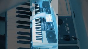 В мире животных на синтезаторе Korg pa900