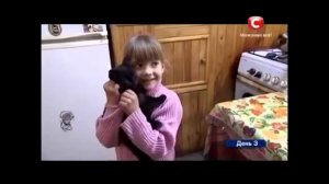 Киця чернушка