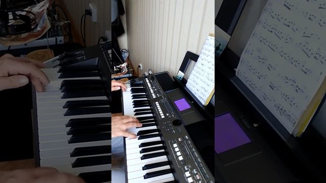 Papetti-Paradise, исп.Вадим Тимофеев 2019 смотреть онлайн