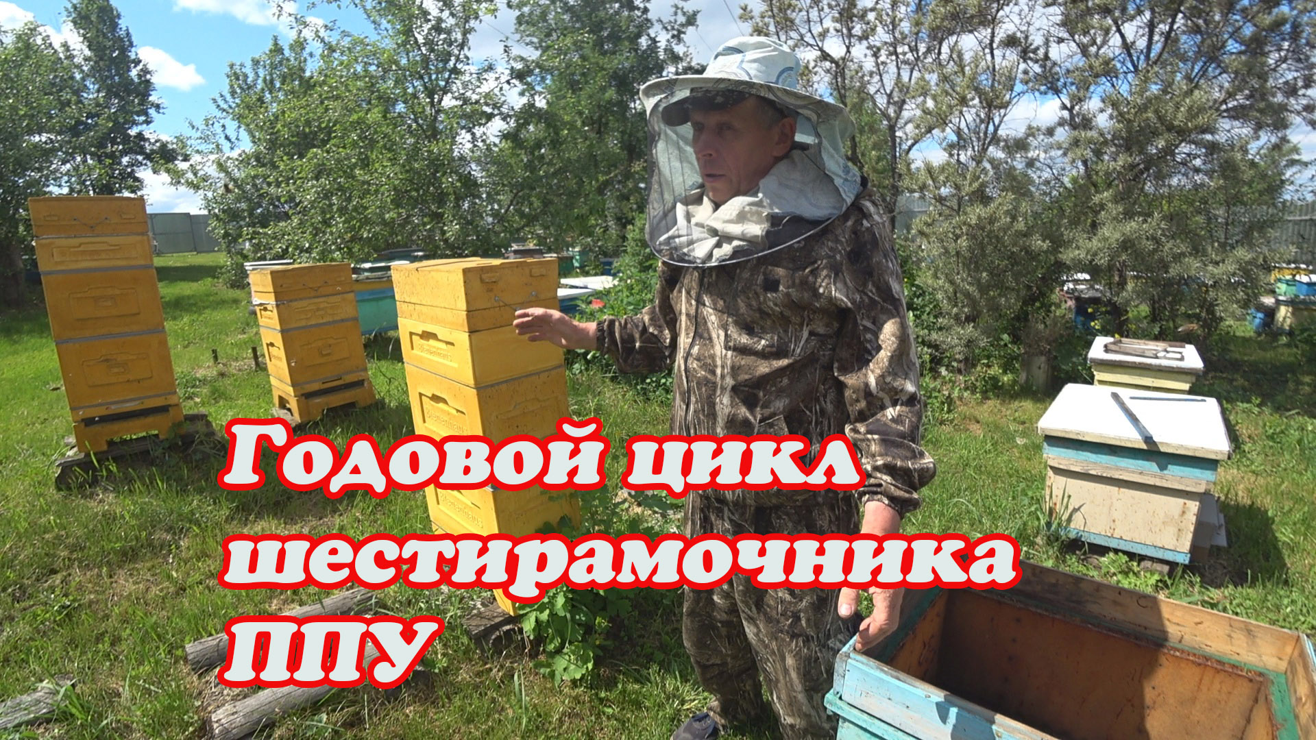 ГОДОВОЙ ЦИКЛ ШЕСТИРАМОЧНИКА ППУ от БИНЕНХАУСА, СНОВА ДЕЛАЕМ ОТВОДОК НА МАТОЧНИК. смотреть онлайн