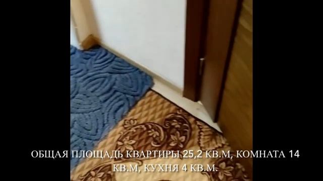 Мурино, ул.Авиаторов Балтики д.1 кор.1, продажа 1 к.кв. 25,2 кв.м смотреть онлайн