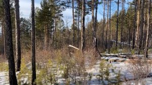 Самый мощный Baofeng ? Baofeng uv 10 r plus