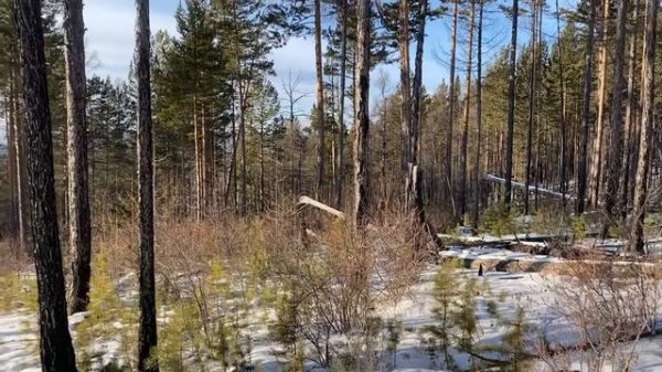 Самый мощный Baofeng ? Baofeng uv 10 r plus