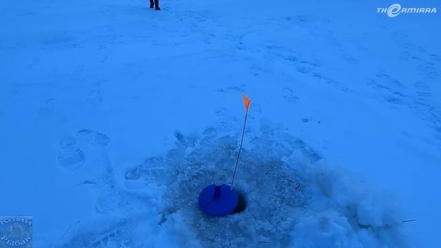 РЫБАЛКА НА РОДНЫХ ПРОСТОРАХ \ Часть 1 \ Заезд