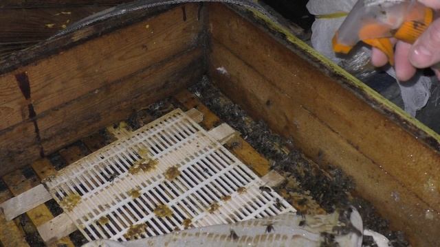 НАЧАЛ С САМОГО ПРОСТОГО И НЕ ОШИБСЯ смотреть онлайн