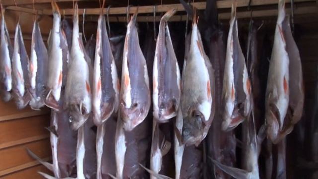 Вегетарианские Блюда и Гастрономия