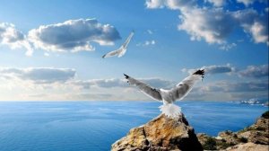 ЧАЙКА о краях о далёких мечтая....  аранжировка Лев РОСТОВСКИЙ исп. Марина САМСОНОВА