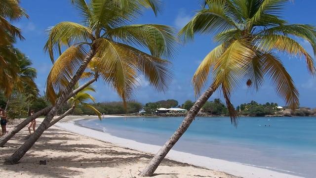 Martinique ( Мартиника )