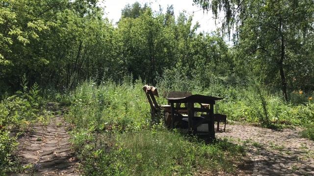 Нашествие бабочек. Кошка разломала гнездо и бегает за поводком смотреть онлайн