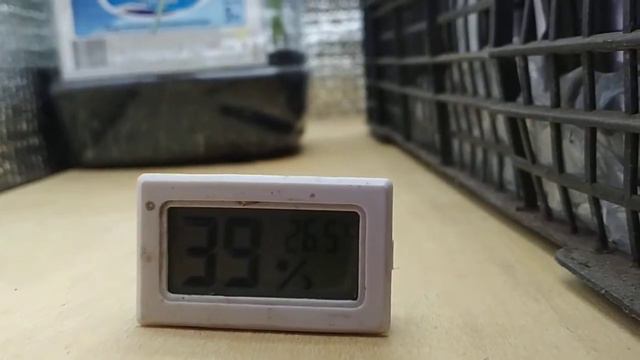 Стеллаж для рассады. смотреть онлайн