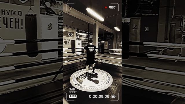 Боксёр 1 разряда на лапах. Как Вам? Ответ пишите в комментариях смотреть онлайн