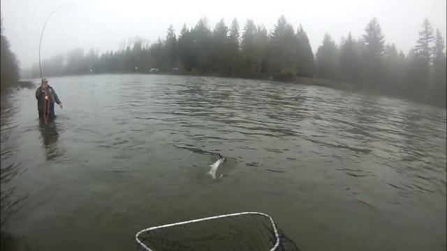 cowlitz river steelie смотреть онлайн