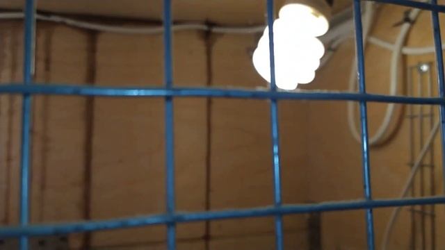 Бесперебойник Zota "Matrix" W300. Испытание в полевых условиях. смотреть онлайн