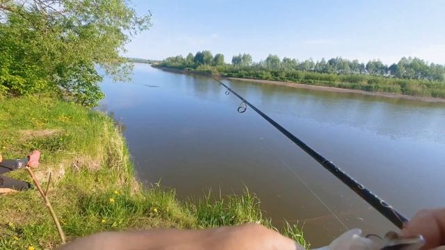 Много поклёвок на незнакомой реке! Рыбалка на спиннинг в Июне смотреть онлайн