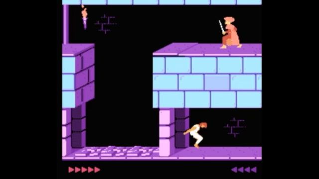 Dendy (Famicom,Nintendo,Nes) 8-bit Prince of Persia Level 8