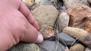 Cutting Rocks • You Never Know Whats Inside (Rhyolite, Agates & Chalcedony)