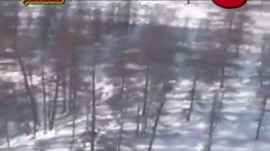 Охота на волка. Якутия.