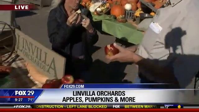 FOX29 The Crimson Crisp and More at Linvilla Orchards, Fall 2017 смотреть онлайн