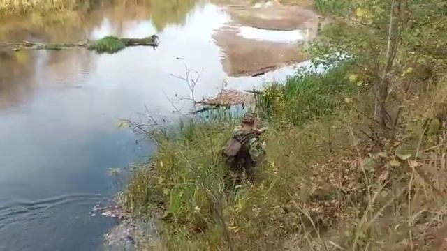 Атака щуки на поверхностный воблер р.Серёжа смотреть онлайн