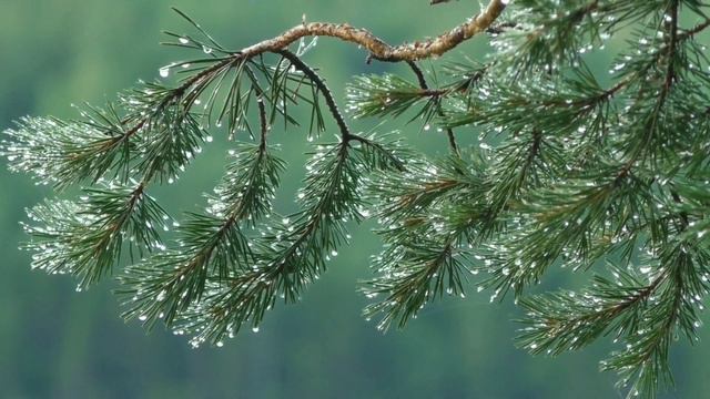 25 травня. Церковне свято. День Ангела / Народні Повір'я / народні ПРИКМЕТИ і ТРАДИЦІЇ /Заборони дн смотреть онлайн