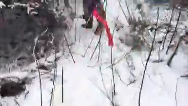 С флажками на волка смотреть онлайн