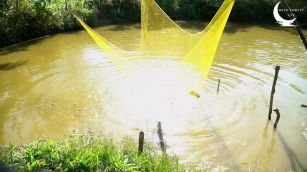 Building New Life 2023 - Catching Fish To Improve Life | Wild Forest Life