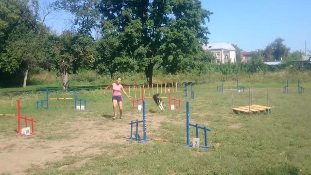 07.08.2016 Чемпионат Харьковской области, трасса джампинга (вне зачета) смотреть онлайн