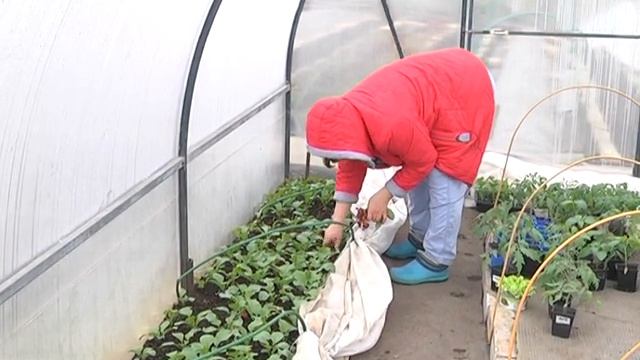 Дачные советы с Галиной Старосельцевой Апрель 22-2020