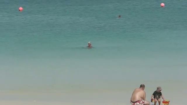 ОАЭ смотреть онлайн