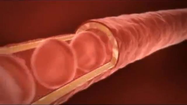Алоэ Вера ЛР, Aloe Vera LR Made in Germany LR mp4 смотреть онлайн