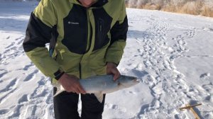 Глухих - Рыбалка Лепсы жерех @Iamdeaf