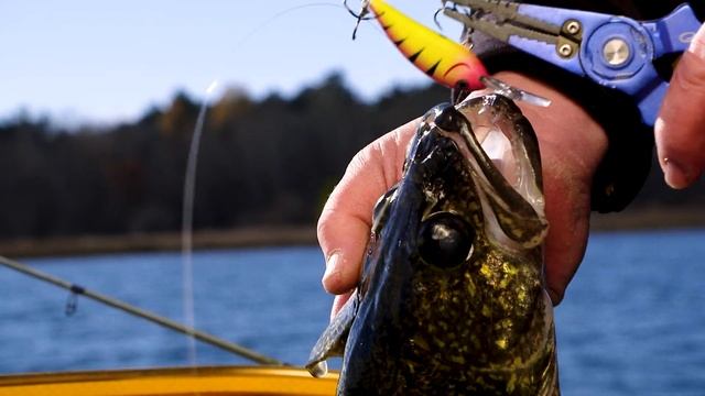 NEW! Northland Rumble Series Crankbaits смотреть онлайн