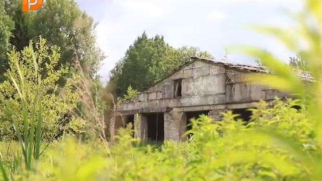 Знай наших. Экоферма "Гусиная столица" смотреть онлайн