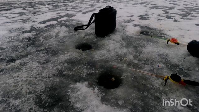 Как поймать живца. смотреть онлайн