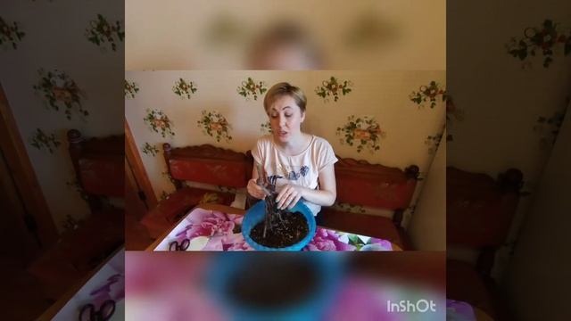 Как сохранить розу из коробки. смотреть онлайн