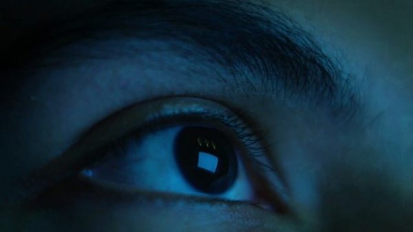 DOLPHIN MEDIA PRODUCTION